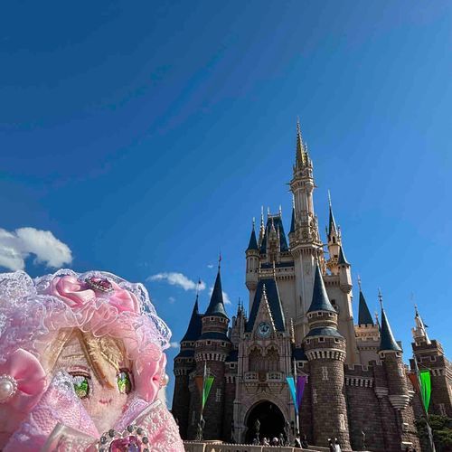きゃっする
