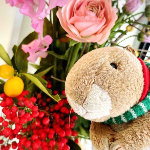 あけおめことよろ！
ってもう正月明けたな！
今年もオレは適当だぜ！