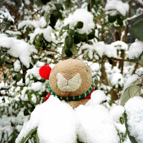雪！！　雪だったぜ！！