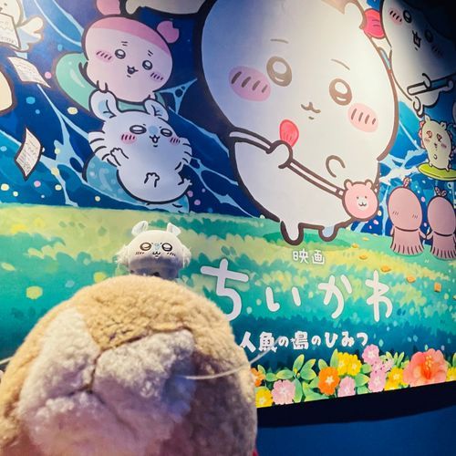 妹が夏休みなので、オレも夏休み便乗満喫してるぜ！　主は死んでるけどよ！（笑）
え、後ろ？　何かいるか？