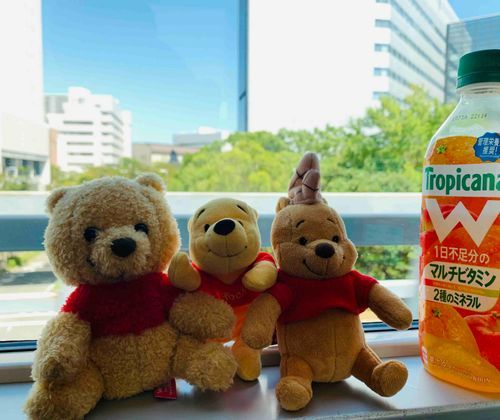 こっちむいて、ハイポーズ！
ぼくは　ちびぷぅだよ〜
みんな　いきとうごうして　とってもなかよしなんだぁ☆

ひだりがハグたん、まんなかがぼく、みぎがみーとん　だよ〜