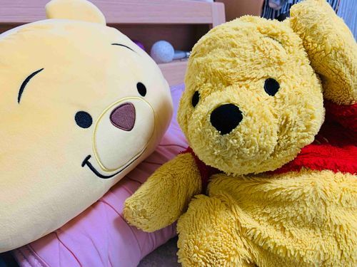ありゃ、　おつきさまとおもったら　もっちーもっちーくんだったぁ！　なんだ〜　もっちりまんまるしてるから　おつきさまかとおもっちゃった
ぬしさんにきいたんだけど、おつきさまは　おそらをうかんでるんだねぇ　きれいなんだろうなぁ！