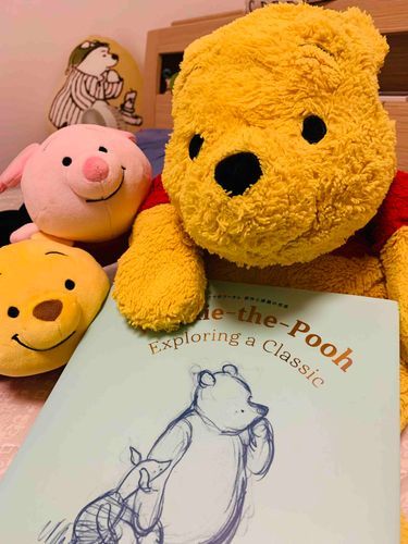 きょう10がつ14にちは、ぼくたち　くまのプーさんの、95しゅうねんのたんじょうび　なんだって！
やったねぇ☆ 
このごほんは、ぬしさんの　ねるまえのあいどくしょ　なんだぁ。きょうもみてから　ねるみたい！