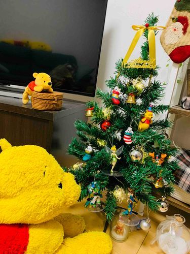 ぼくのぬしさんといっしょに、クリスマスツリー🎄かざったよ！
ことしもサンタさん🎅くるといいなぁ。