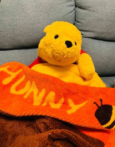 もうふは、こんなかんじの、だいすきな　はちみつ　のかたちのもうふだったよ！
サンタさん、ぼくのすきなもの　しってるなんてすごいなぁ。

さむいふゆも、これでへっちゃらだぁ☆