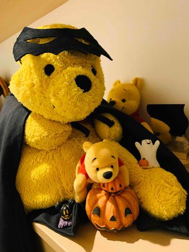 おくればせながら、さんじょう。
ことしのハロウィンも、ドラドラキュラさんにへんしんしたよー　みんなもトリックオアトリート☆ 
ことしもいちねん、みんなほうさくで、おなかいっぱいハチミツがたべられますように！
