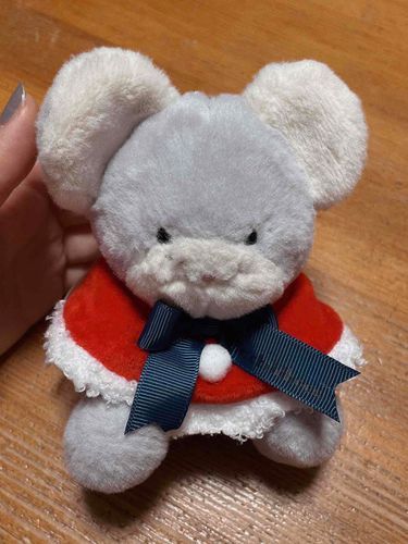 くりすますしよう🛷🎅🎁🎄❄️🌰