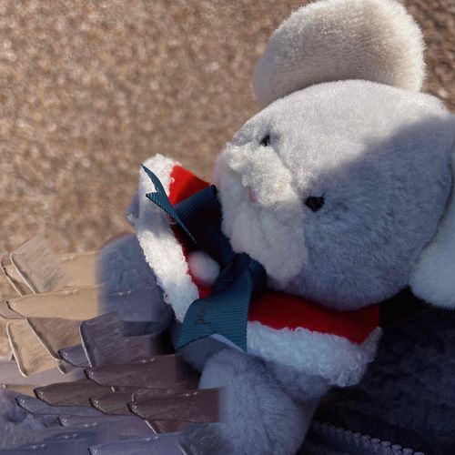 きょうぽかぼかだった☀️🫕🧥🧤🧦🧣☕️