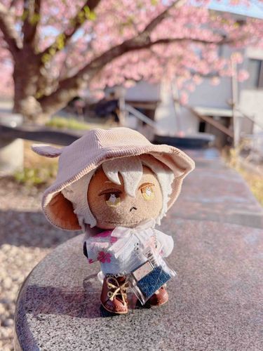 おはなみ いってきたぞっ！
まんかいだったんだ🌸✨