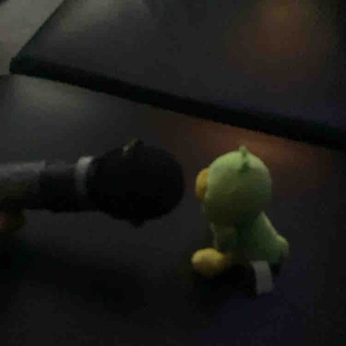 クァーーー♪♪