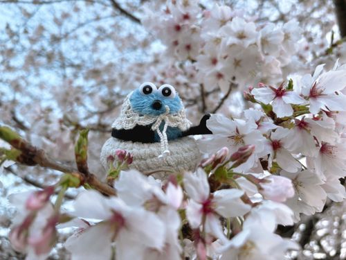 🌸‎🤍𓈒𓏸︎︎︎︎
お花見したよ ♪
( ※桜には触れてません )