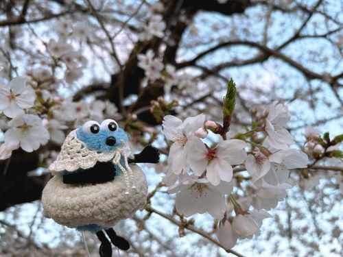 🌸‎🤍𓈒𓏸︎︎︎︎
ふわわ ! 優しい色だね !