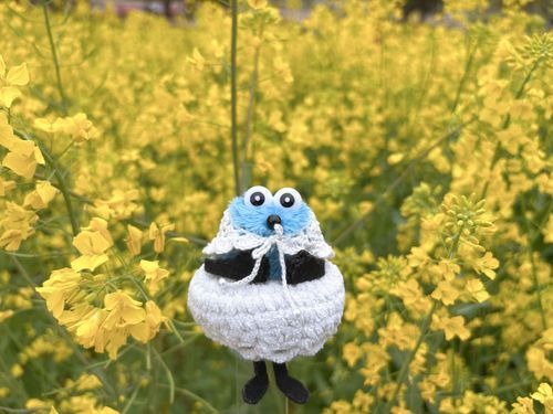 🌼💛𓈒𓏸︎︎︎︎
菜の花畑に行ったよ ♪