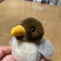 かも子