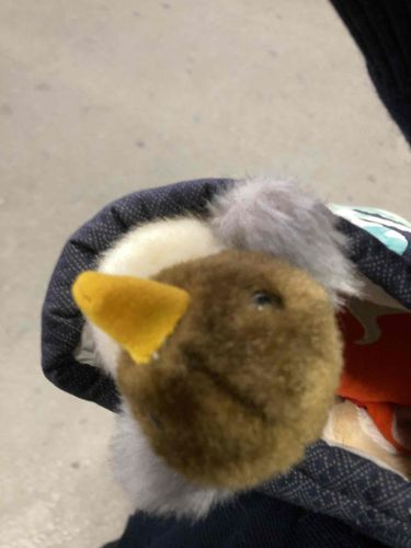 ハァハァハァハァ疲れたでち、ご主人と帰るでち！