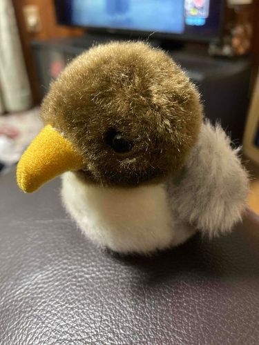 頭をかしかしなでてもらって　ほわほわしてるでち　