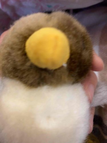 ご主人　模試　おつかれさま　ずっと静かにしてた　わたくち　えらいでしょ✨