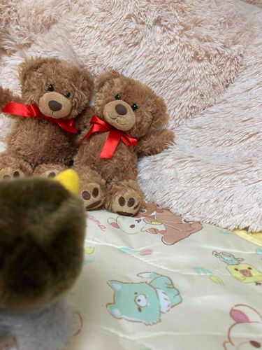 ご主人安心してね　あさおきたら　ふたりとも　ロフト下の床に　いたけど　大丈夫　わたくちの　先輩さいこきねしすパワーで　怪我しないように受け止めましたから