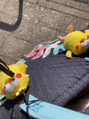これが陽の光か！