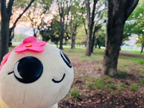 はじめて公園にお連れしてみました♪
