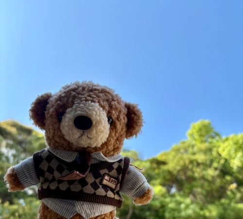 やぁ、今日はとってもいい天気だね
あまりに綺麗な青空が広がっているから思わず外に出たよ！
今日もいい一日になりそうだ