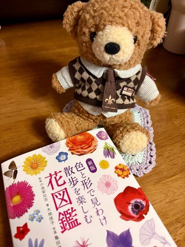 僕がよくお散歩中に
あれは綺麗なお花だね🌼と
話しかけるから
友人が花図鑑を買ってくれたんだ
これで一緒に調べようね！って