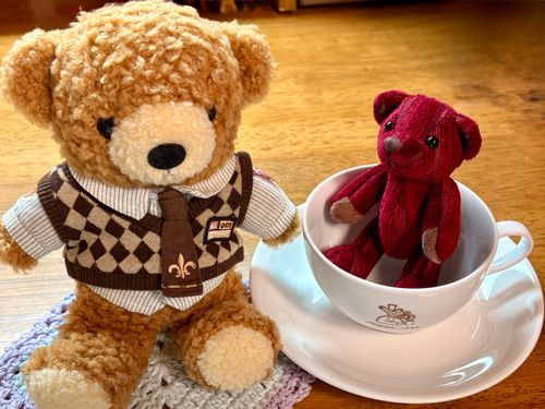僕たちの家に新しいお友達が来たよ
彼は「こめだ」くん！
コメダ珈琲店のソファと同じ生地のクマさんなんだって
こめだくんの気質と口元の柄が相まって初日からニコニコとご機嫌な表情を見せてくれているよ