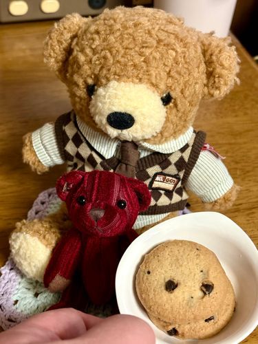 今日のおやつは
チョコチップクッキーだそうだよ🍪
友人が僕用の豆皿にも盛ってくれたんだ
サクッと軽い食感で
バターとチョコチップの華やかな風味が美味しくて
つい、おかわりをしたよ