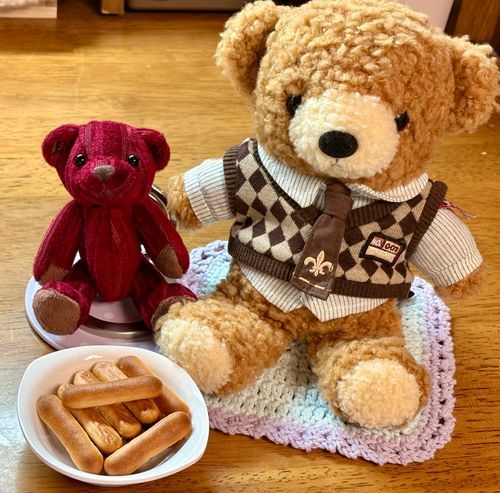 今日のおやつは
フィンガービスケットだよ
カリカリの食感で
甘味と少しの塩味が美味しいんだ
僕はこれにチョコレートをつけたりするのが好きなんだ