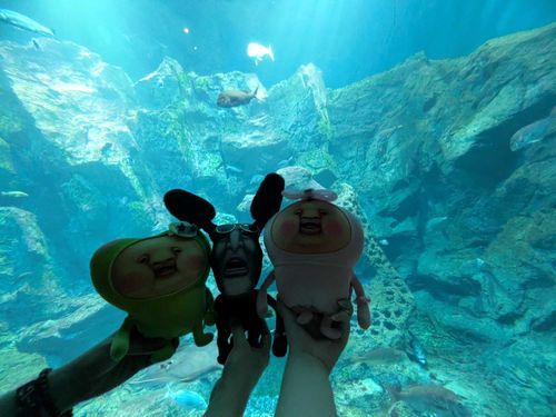 水族館🐠💚🖤🩷