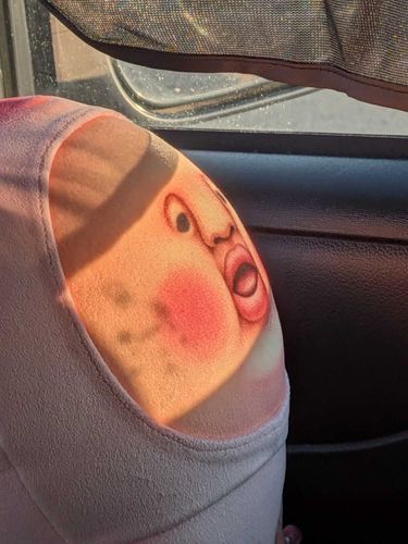 夕日に照らされ🍑...
