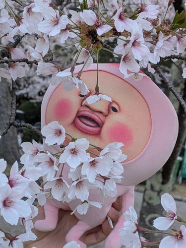🌸