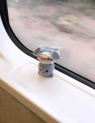 電車