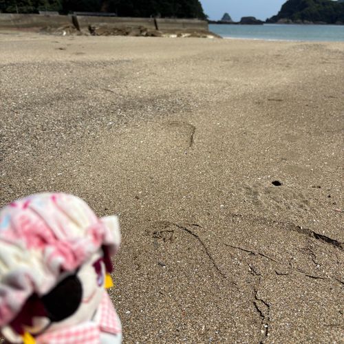 あしあと、ありますね。