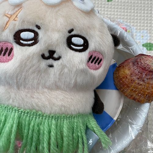 じつは、きてたんだ…うみに！
(ぬいの写真撮り目的)