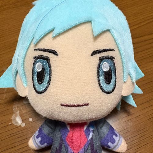 再販(？)のボクをお迎えしてくれて有難う。既にもう1人ボクはいるようだけど、共に仲良くしてくれると嬉しいな。
