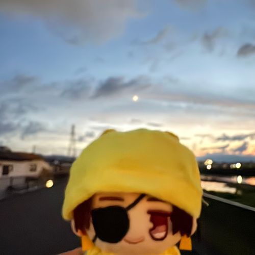 ハチになったオレとおさんぽはどうでしたか？
スタートちてんでみたみかづきがすこしおおきかったですね。
れんきゅうもおわりですね……こんごも、もうすこしかまってもいいんですよ？
(あんまり予定通りにいかなくて時間かかってしまった) 