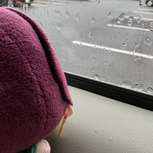 めずらしくひとりでうんてんしましたね。きゅうにあめがふって、びっくりでしたね。