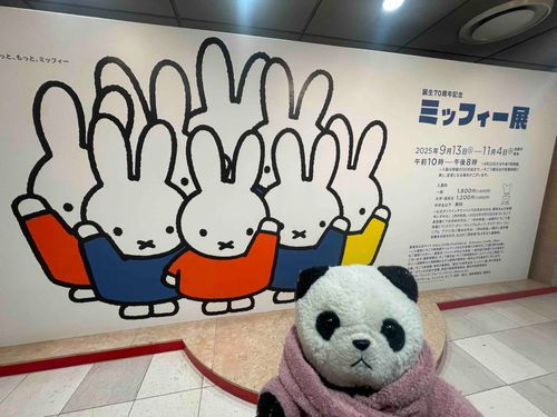 みっふぃーてんにいったよ❣️どのこがみっふぃーちゃん❓みんなですか❓