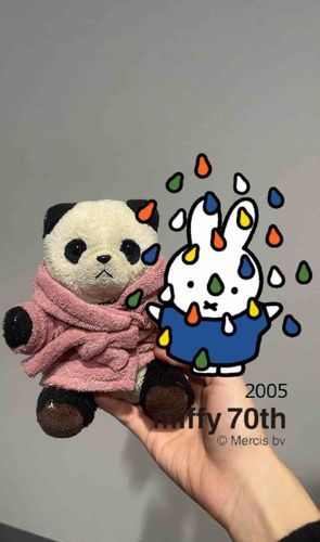 いっしょにおしゃしんとったよ❣️なんかぱんちゃんにもあめかかってるんだけど☔️