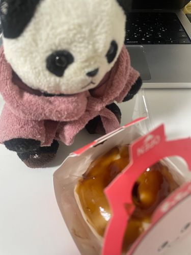 ねんがんのもっちゅりん🍩❣️