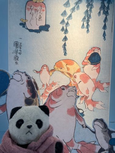 こいきーずだね❣️