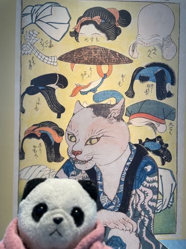 きせかえねこちゃん🐱🩷