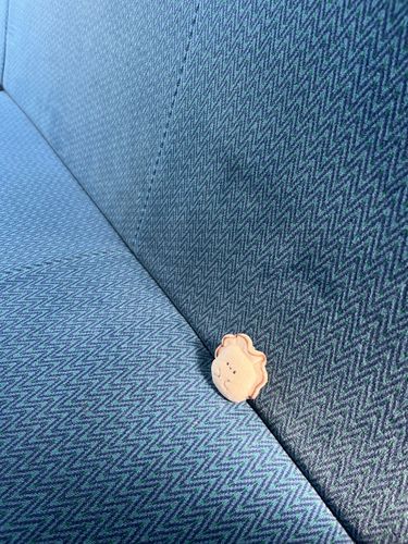 人がいなかったので僕も席に座らせてもらえました！いよいよバス旅スタートです。