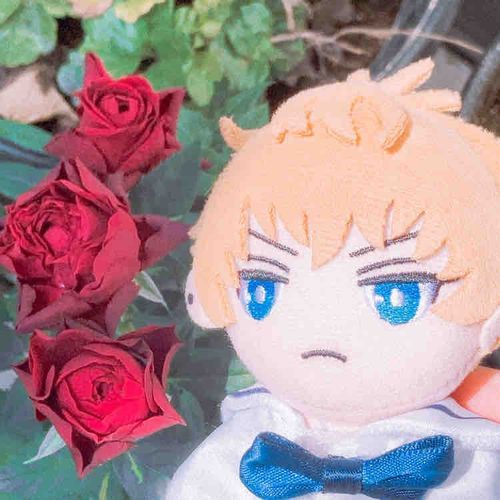 薔薇🌹🌹