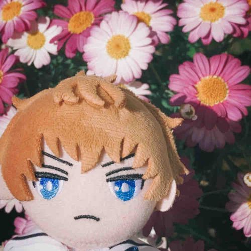 マーガレット🌸