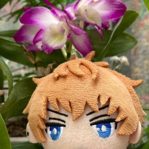 デンドロビウムが咲いたぞ🌸