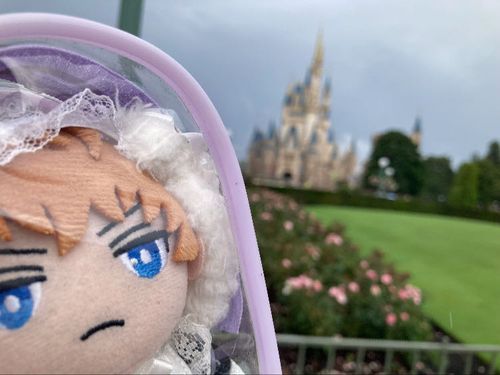 ディズニーに行ったぞ。🐭🏰🪄