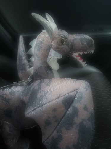 車に乗ったよ！！出発しようね！