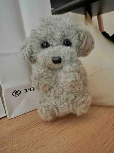 こんにちワン！
お家にはまだ来たばっかりだけど、沢山お外に遊びに行きたいワン🐾
よければ沢山仲良くして欲しいワン！よろしくワン🎵